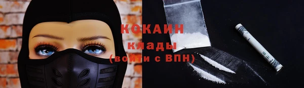 не бодяженный Бородино