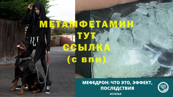 не бодяженный Бородино