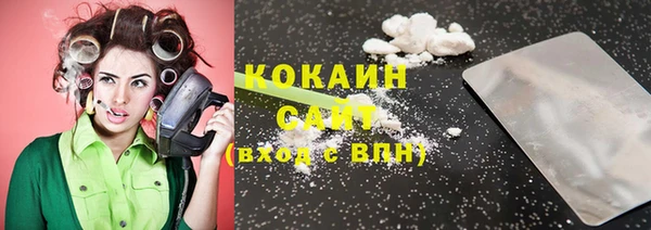 не бодяженный Бородино