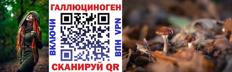 Псилоцибиновые грибы GOLDEN TEACHER  Купить закладки  Павловск 