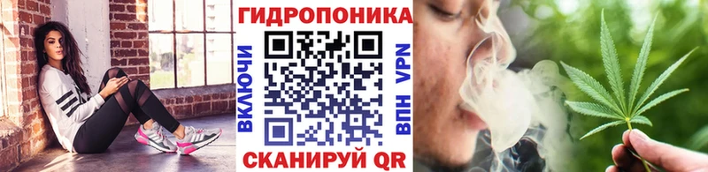 Бошки марихуана Bruce Banner  Купить закладки  Павловск 